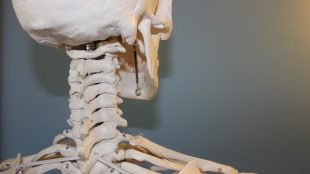 kiropraktor københavn hjælper på dine smerter