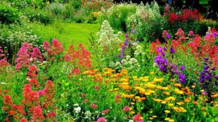 Det er tid til at tale om anlægsgartner i Roskilde